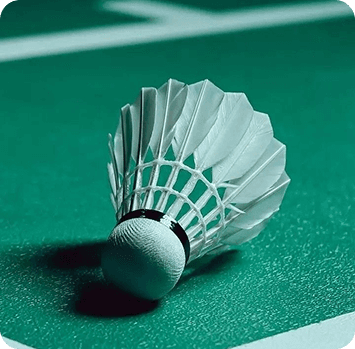 Badminton